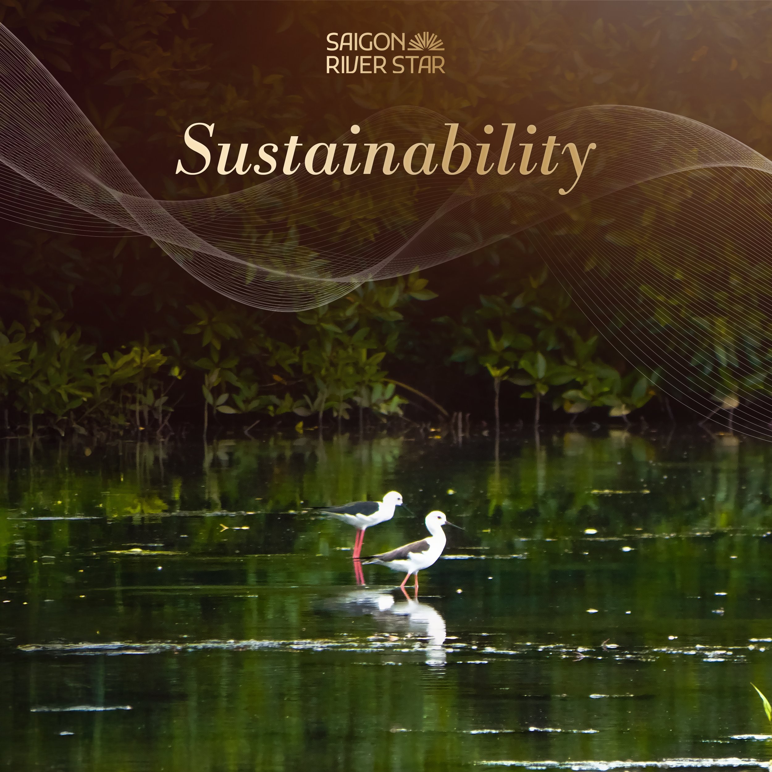 Sai Gon River Star - du lịch sông nước - trải nghiệm du lịch - văn hóa địa phương - luxuo 6