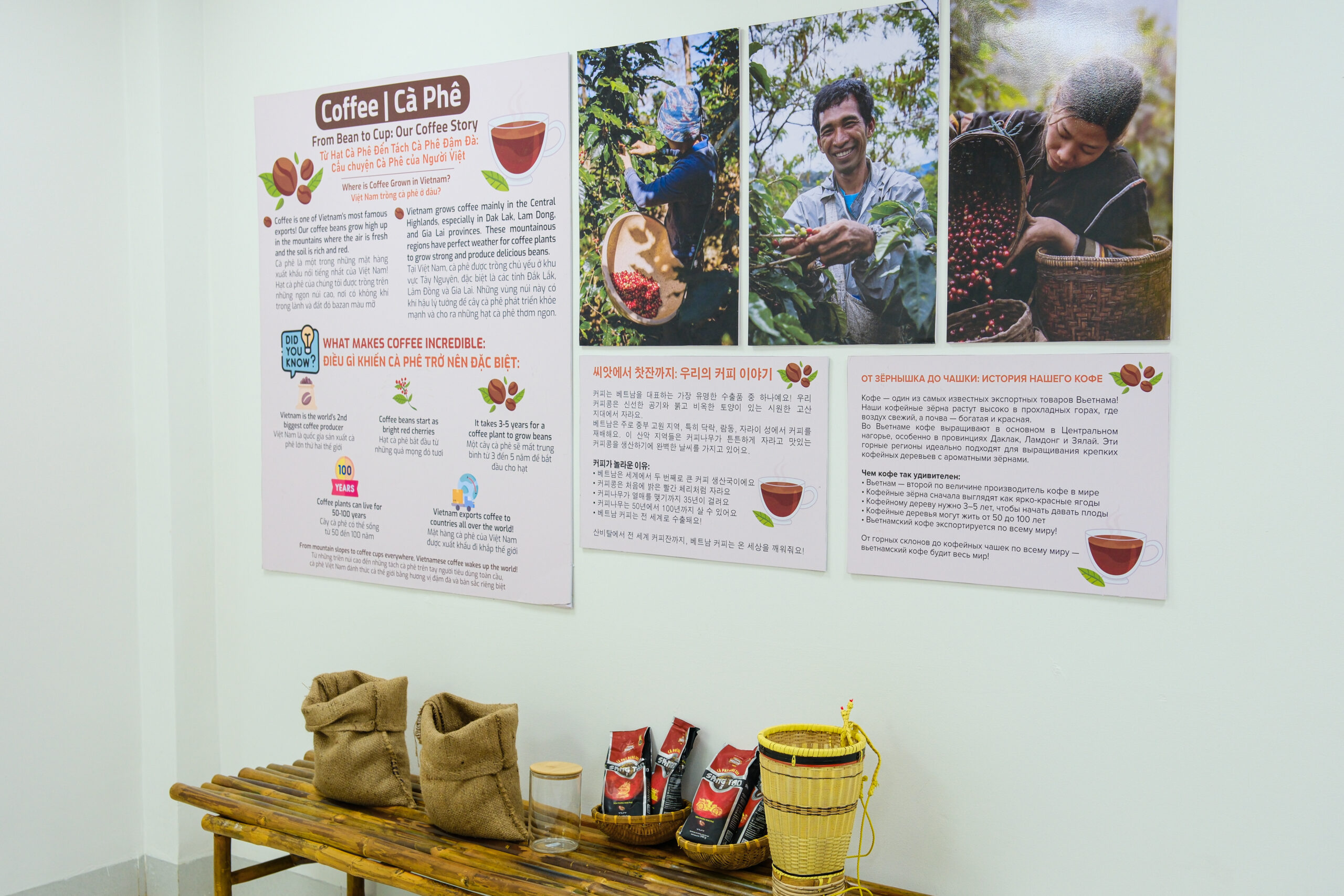 khu nghỉ dưỡng - Alma Discovery Camp - khu nghỉ dưỡng gia đình - hoạt động vui chơi trẻ em - luxuo 12