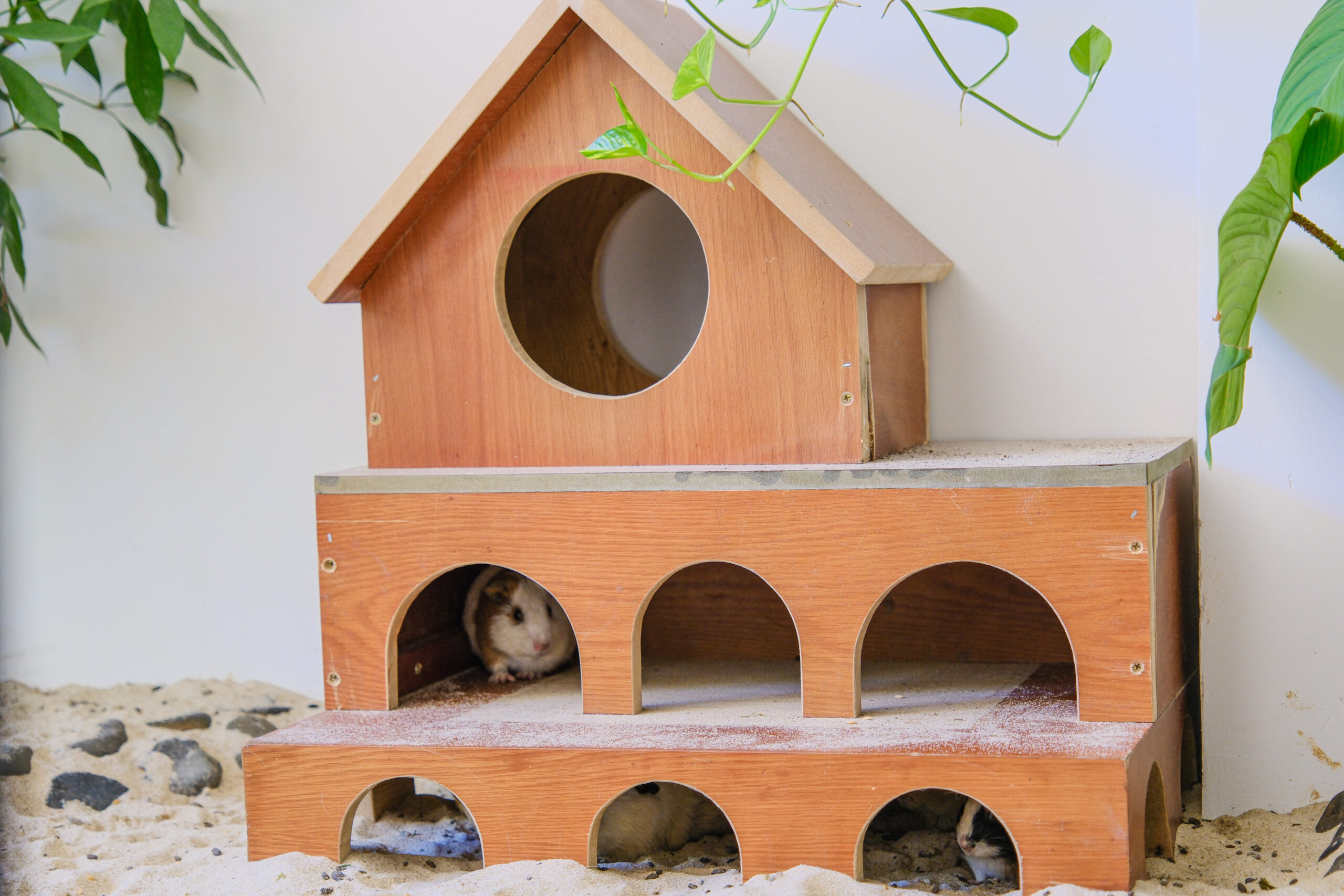 khu nghỉ dưỡng - Alma Discovery Camp - khu nghỉ dưỡng gia đình - hoạt động vui chơi trẻ em - luxuo 4