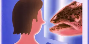 DNA của tuổi trẻ: Vì sao tinh trùng cá hồi trở thành bí mật mới của làn da châu Á